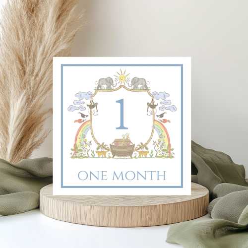Noah's Ark Monthly Milestone Cards- various colors