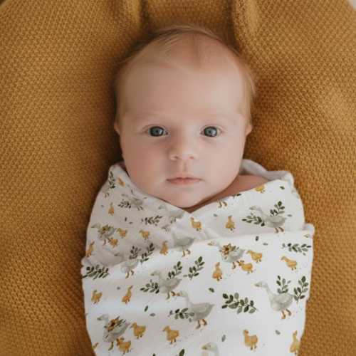 3-PACK Organic Swaddles : Muslin Cotton Baby Swaddle Blanket Set (1 Patterned + 2 Solid Colors)