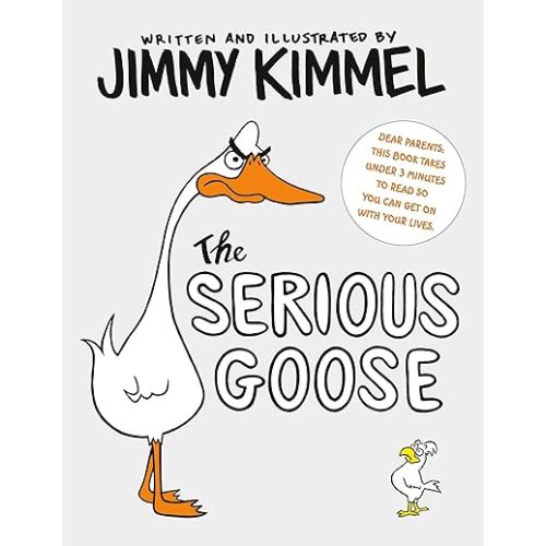 The Serious Goose Board book – May 7, 2024