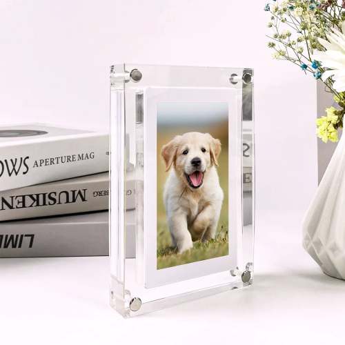 SnapFrame™ Digital Video Frame