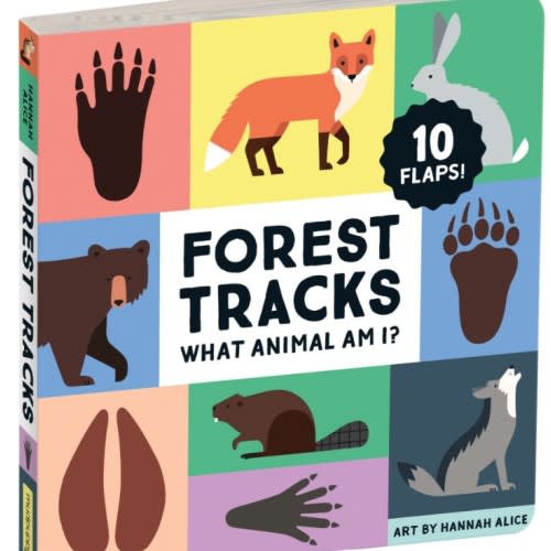 Mudpuppy Forest Tracks: What Animal Am I? Lift-the-Flap Board Book | REI Co-op