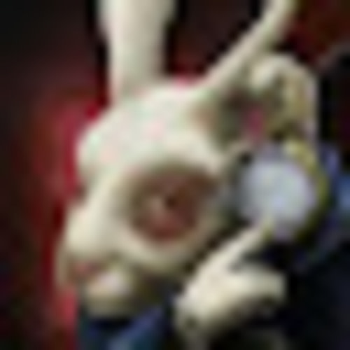 Classwork for IAT - Acad 4 Barbara