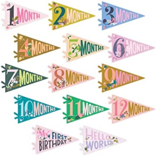 Lucy Darling Petit Milestone Pennants – Baby Monthly Milestone Pennant Flags – Newborn Photo Props & Felt Nursery Decor – Keepsake Banner Set for Baby Photos – Little Artist
