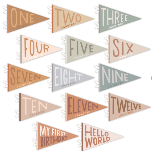 Mountain Fields Petit Milestone Pennant - Lucy Darling | Maisonette