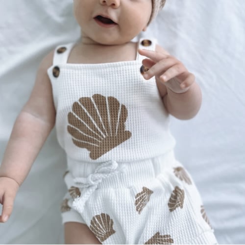 Seashell Set