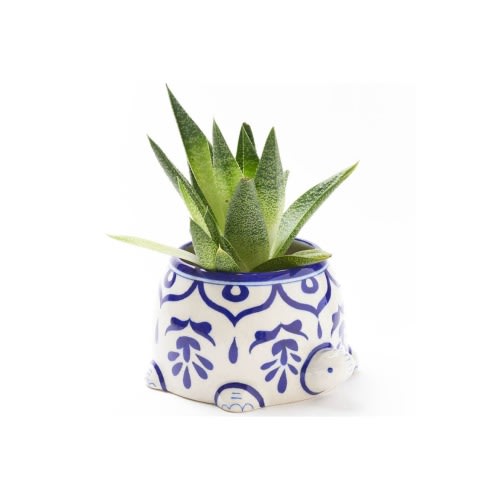 Lalita Mama Turtle Succulent Planter