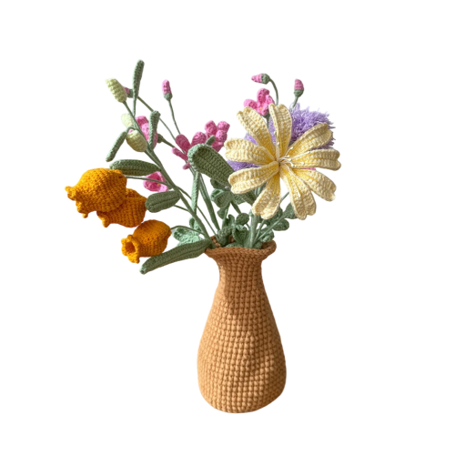 Lucky Lewisia Bundle