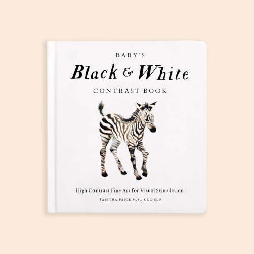 Baby's Black and White Contrast Book