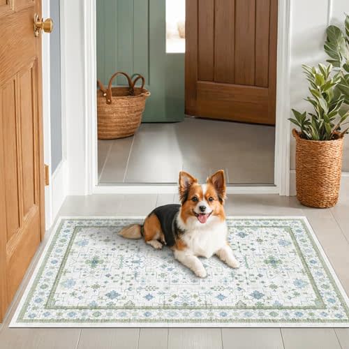 Blue and Green Washable Entryway Rugs 3x5 - Vintage Boho Floral Pastel Cream, Washable Low Pile Non Slip Small Throw Accent Area Rug for Door Mat Indoor Entrance, Kitchen, Bedroom Beside Bed Decor