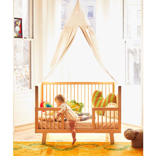 Sparrow Conversion Kit