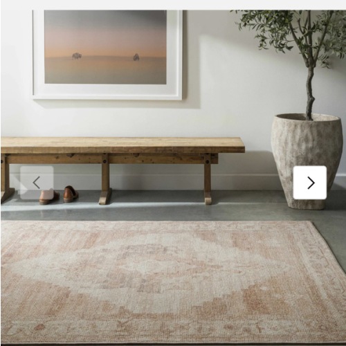 Luca Medallion Dusty Pink - Livabliss x Becki Owens