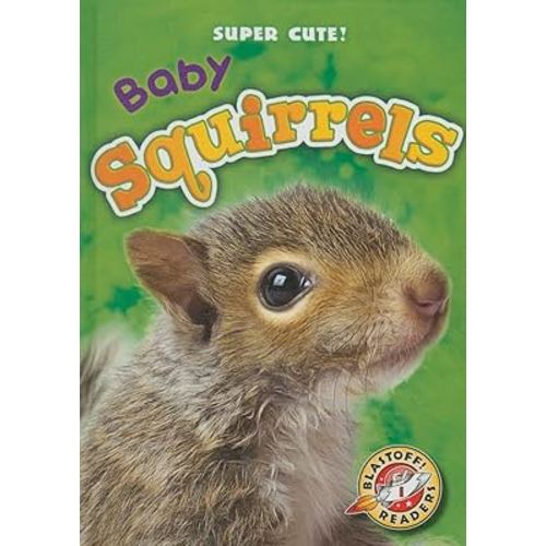 Baby Squirrels (Super Cute!)