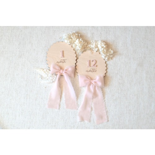 Baby Milestone Sign with Bow / Wooden Milestone Month Set / Acrylic Name Gift / Fresh 48 Sign / Newborn Photography / Baby Photo Prop