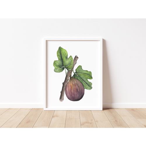 Fig Art Print, Watercolor Fruit Print, Fruit Wall Art, Fig Wall Art, Watercolor Print
