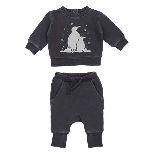 Coal Penguin | Organic Cozy Graphic Sweatshirt & Jogger Set – L'ovedbaby