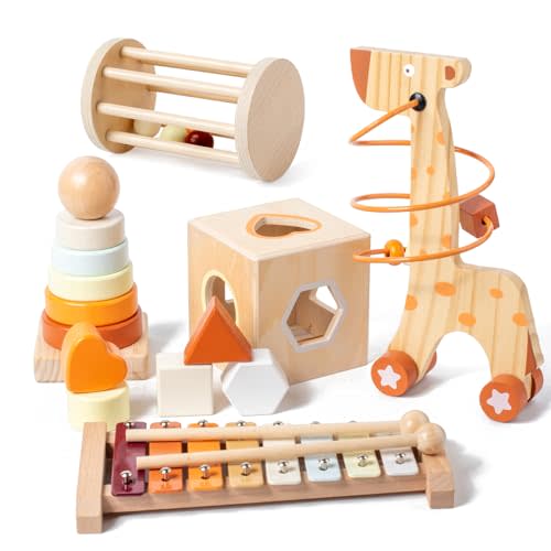 Montessori Toys for 1-3 Year Old, Baby Toys 12-18 Months, Wooden Stacking Rings Toy for Toddlers, Shape Sorting Cube, Xylophone, Preschool Sensory Developmental Educational Toy for Babies