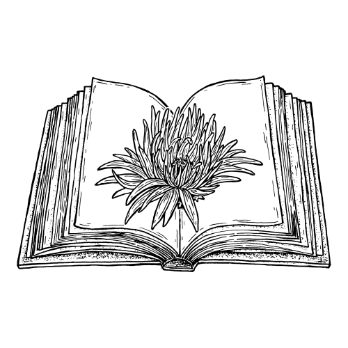 Tiny, Perfect Things by M. H. Clark | Wild Aster Books