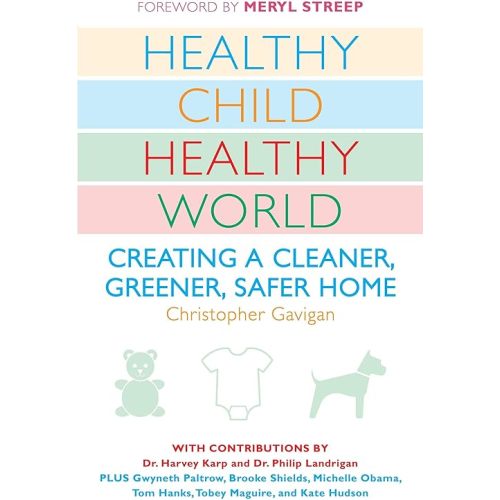 Healthy Child Healthy World: Creating a Cleaner, Greener, Safer Home Paperback – April 7, 2009