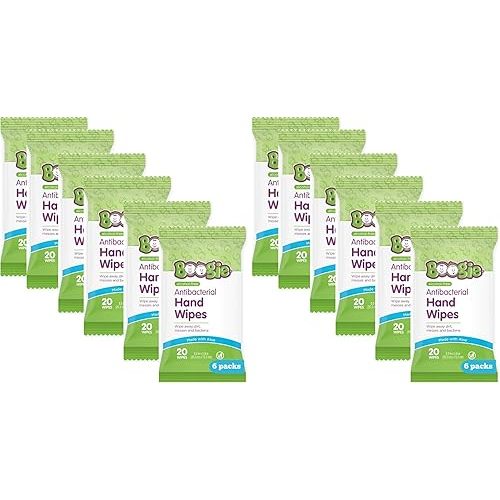 Antibacterial Hand Wipes by Boogie, Alcohol Free, Hypoallergenic and Moisturizing Aloe, Hand Wipes for Kids and Adults, 12 Packs of 20 (120 total wipes)