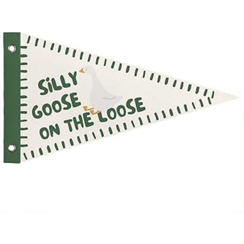 WXHUM Silly Goose On the Loose Green Felt Pennant Banner Flags, Kids Room Nursery Playroom Wall Art Decor, Silly Goose Birthday Wall Decorations for Kid Toddler Room Decor, 8x14 Inch