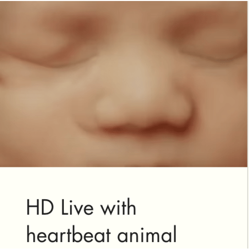Gift certificates for Baby and Co Ultrasound Studio
215 E Water St. Bainbridge, GA Decatur County 39817 USA