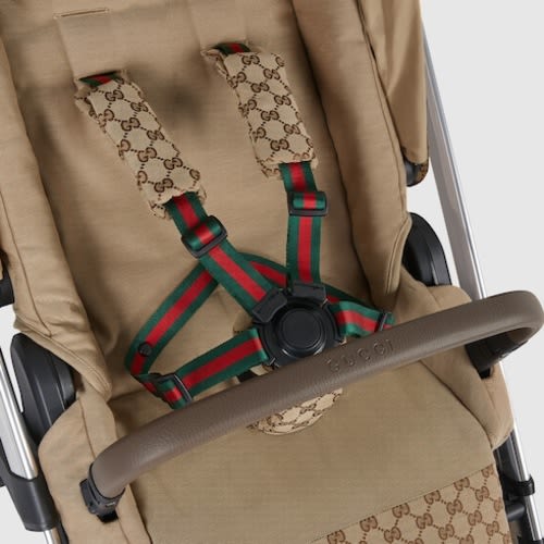 Gucci Bassinet-Stroller combo