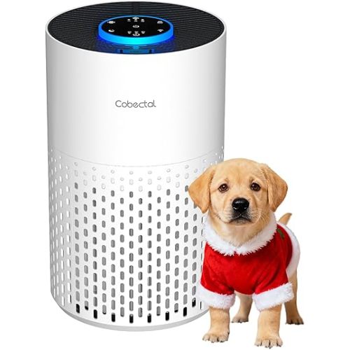 Air Purifiers for Bedroom Home, Cobectal Air Cleaner with H14 True HEPA 3-in-1 Filter for Room up to 1050 ft², Aroma Function, Sleep Mode, Portable Air Purifiers for Office, Dorm, RVs, White