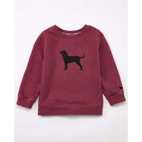 Lil Kids Classic Crewneck Sweatshirt – The Black Dog