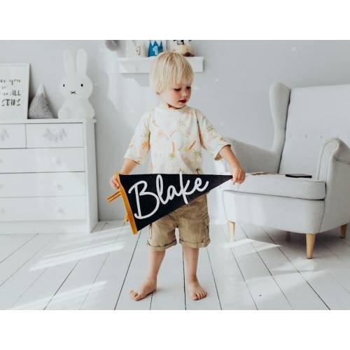 Custom Name Flag, Gifts for kids and baby, Felt Pennant Banner, Custom Flag, Custom Pennant name banner Baby name sign Personalized decor