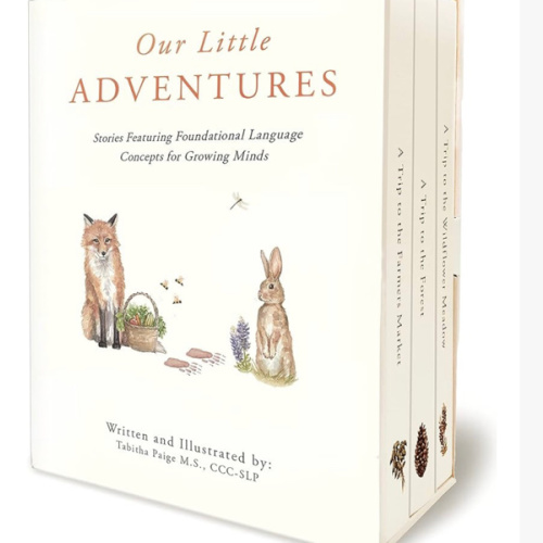 Our Little Adventures: Stories Featuring Foundational Language Concepts for Growing Minds (Tabitha Paige Children's Book Series)