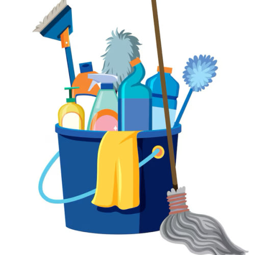 Bi-weekly house cleaning
