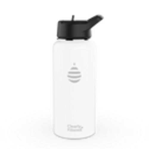 32oz Stainless Steel Filtered Water Bottle