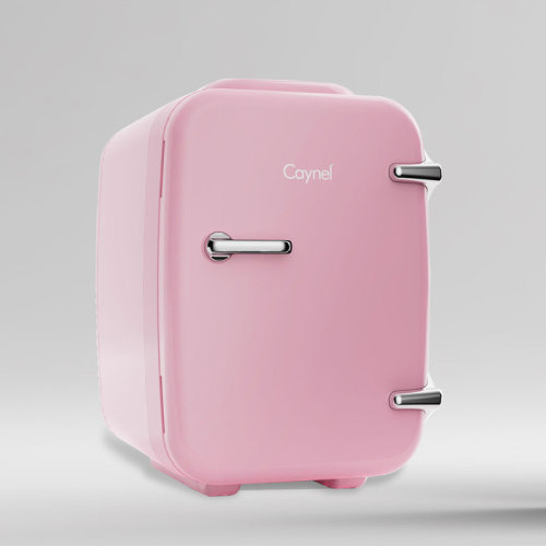 CAYNEL Mini Fridge Portable Travel Thermoelectric 4 Liter Cooler and Warmer for Skincare & Reviews | Wayfair
