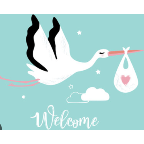 Welcome Home Baby Fund