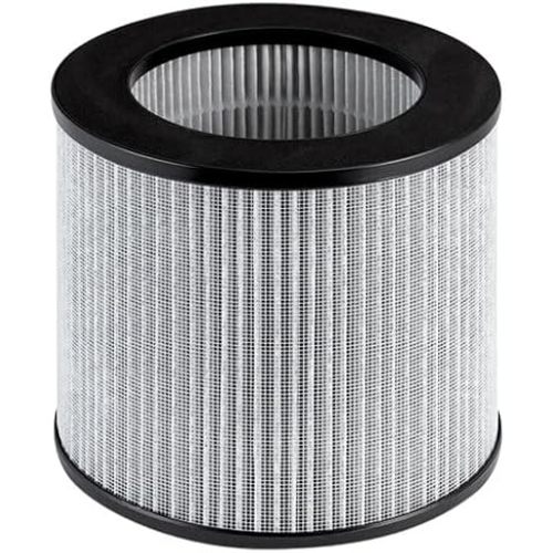 Bissell Replacement High Efficiency and Carbon Filter for The MyAir Personal Air Purifier, 2801