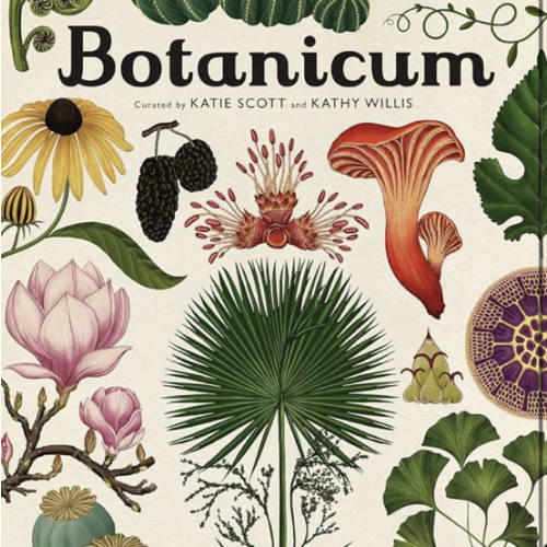 Botanicum: Welcome to the Museum