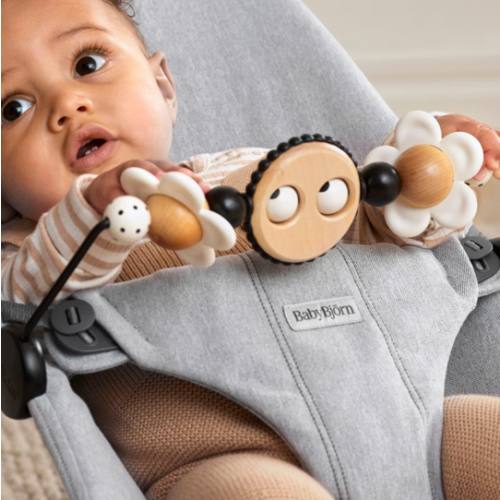 BabyBjörn Toy for Bouncer – Googly eyes