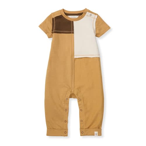 Burt's Bee Baby Infant Boys' 100% Organic Cotton Short Sleeve Colorblock Jumpsuit