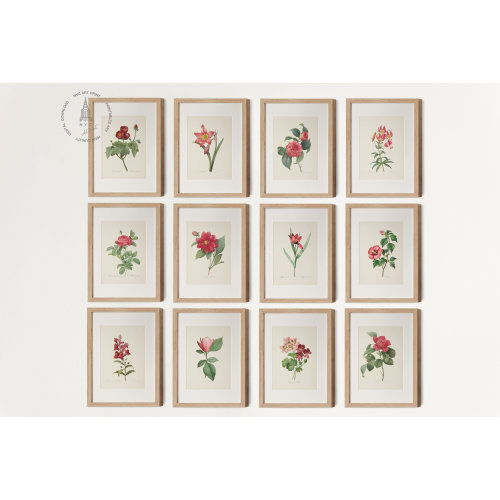 Vintage Red Botanical Gallery Wall Set of 12, Red Pink Flower Art, Red Floral Prints, French Country Prints, Pierre Joseph Redoute