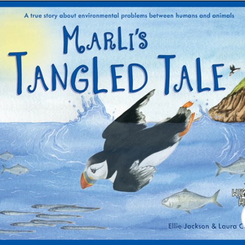 Marli's Tangled Tale Book