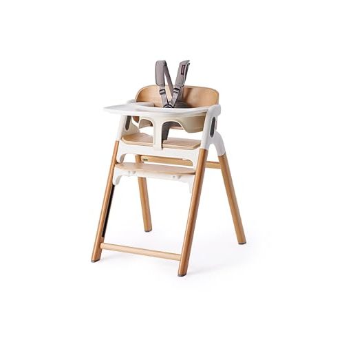 Momcozy DinerPal Wooden High Chair for Babies, Toddlers & Adults Up to 308 Lbs, Convertible Baby Highchair with Food-Grade Tray, Dishwasher-Safe, Adjustable & Ergonomic, Natural Wood