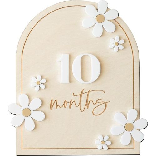 Daisy 3D Baby Monthly Milestone, Wooden Baby Milestone Signs, Monthly Milestone Wood Discs, Baby Milestone Discs (Daisy)