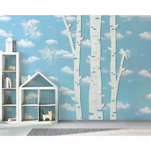 Kid`s Growth Charts - Birch – JustLikeWood