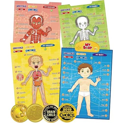 BEST LEARNING i-Poster My Body - Interactive Talking Human Anatomy Toy