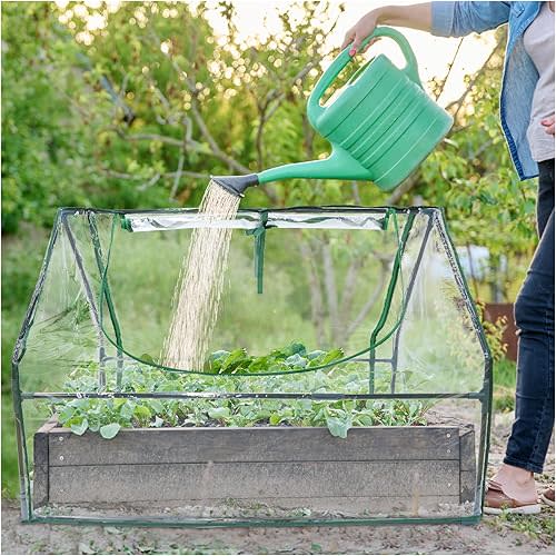 Wironlst Mini Greenhouse for Outdoors Indoor, Small Greenhouse with Innovative Dual Open Doors, Portable Garden Tent for Plants Protection (Transparent, 51"(L)*35.4(W)*35.4"(H))