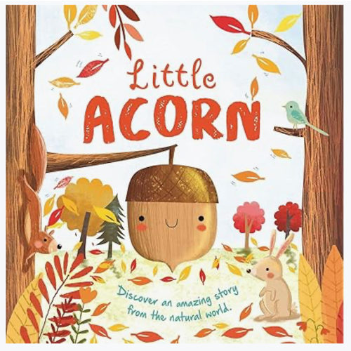 Nature Stories: Little Acorn-Discover an Amazing Story from the Natural World: Padded Board Book