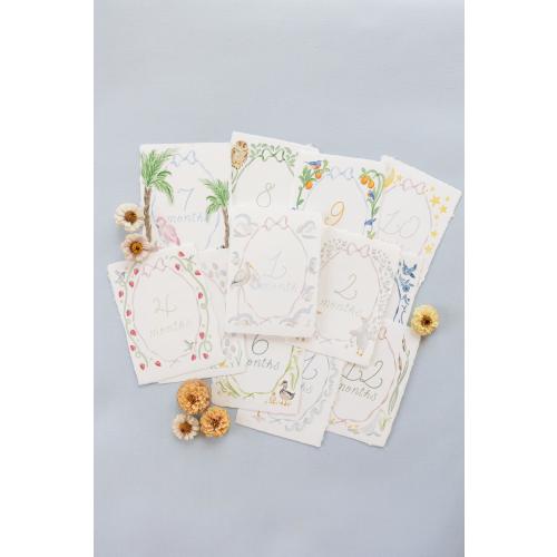 Birds of a Feather Handmade Paper Milestone Baby Photo Prop Months 1-12
