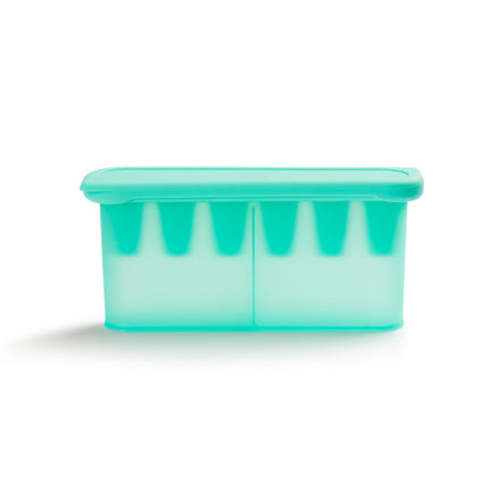 Silicone Baby Food Feeders & Freezer Tray Bundle