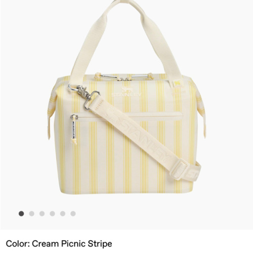 The All Day Julienne Mini Cooler | 7.4 QT – Stanley 1913