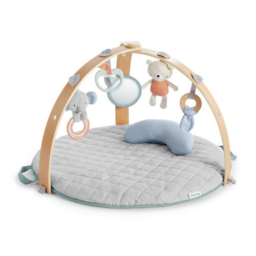 Ingenuity Cozy Spot Reversible Gym Loamy